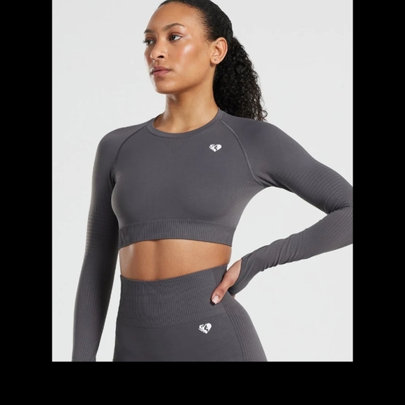 Gray Long Sleeve Crop Top - Picture 1 of 3